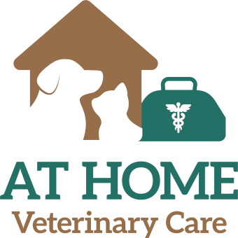 At Home Veterinary Care